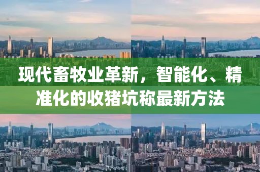 現(xiàn)代畜牧業(yè)革新，智能化、精準(zhǔn)化的收豬坑稱最新方法