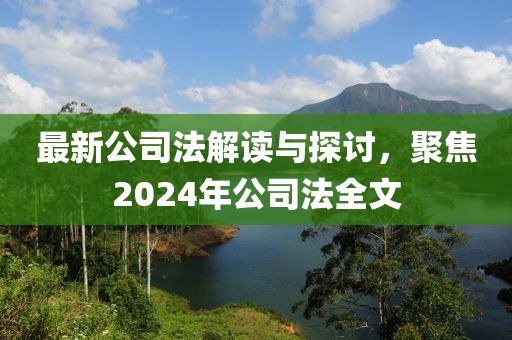 最新公司法解讀與探討，聚焦2024年公司法全文