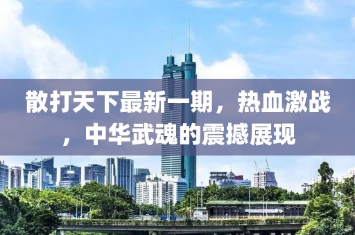 散打天下最新一期，熱血激戰(zhàn)，中華武魂的震撼展現(xiàn)