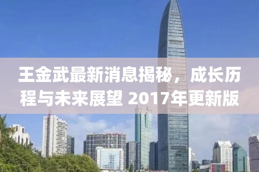 王金武最新消息揭秘，成長歷程與未來展望 2017年更新版
