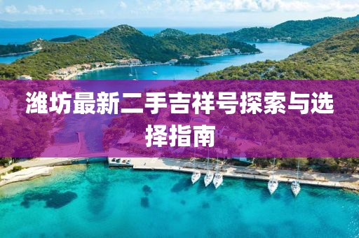 濰坊最新二手吉祥號(hào)探索與選擇指南