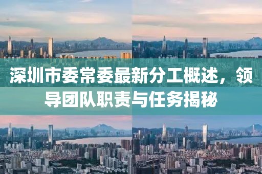深圳市委常委最新分工概述，領(lǐng)導(dǎo)團隊職責(zé)與任務(wù)揭秘