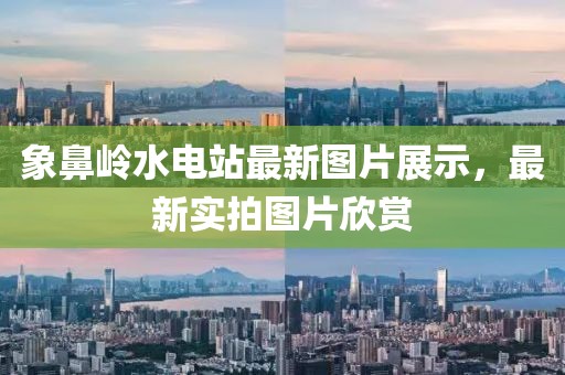 象鼻嶺水電站最新圖片展示，最新實拍圖片欣賞