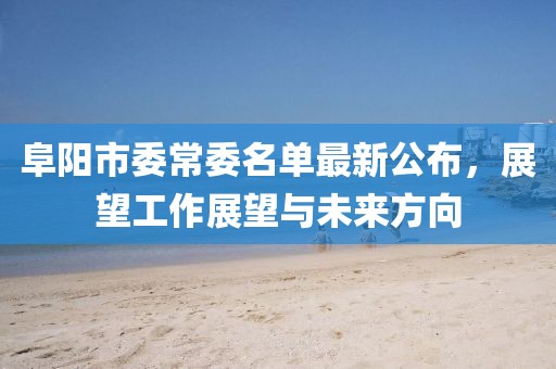 阜陽(yáng)市委常委名單最新公布，展望工作展望與未來(lái)方向