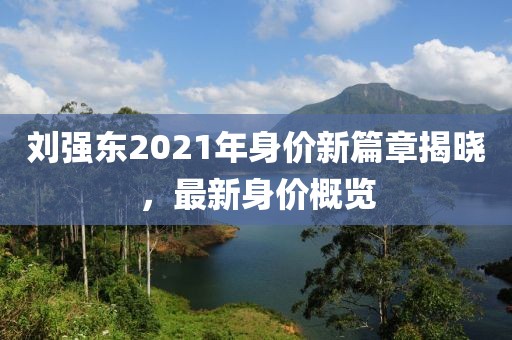 劉強(qiáng)東2021年身價(jià)新篇章揭曉，最新身價(jià)概覽