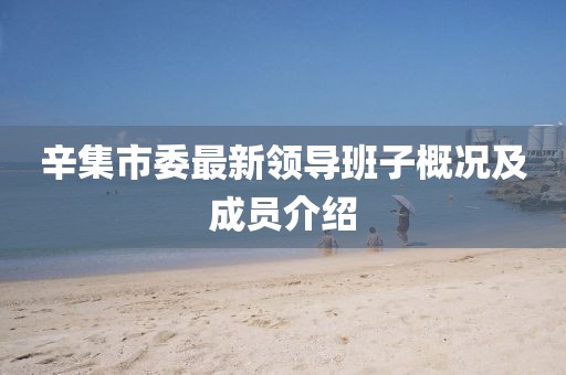 辛集市委最新領(lǐng)導(dǎo)班子概況及成員介紹