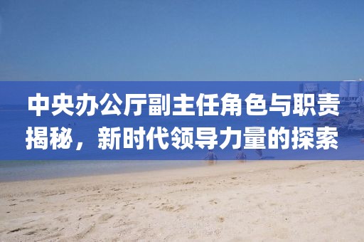 中央辦公廳副主任角色與職責(zé)揭秘，新時(shí)代領(lǐng)導(dǎo)力量的探索
