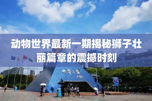 動物世界最新一期揭秘獅子壯麗篇章的震撼時刻