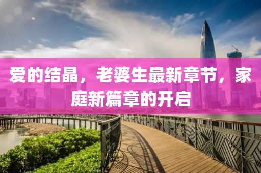 愛(ài)的結(jié)晶，老婆生最新章節(jié)，家庭新篇章的開(kāi)啟