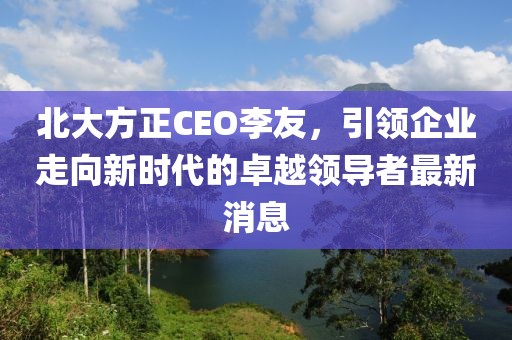 北大方正CEO李友，引領企業(yè)走向新時代的卓越領導者最新消息