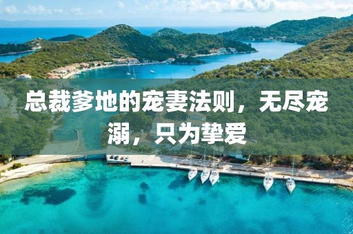 總裁爹地的寵妻法則，無盡寵溺，只為摯愛