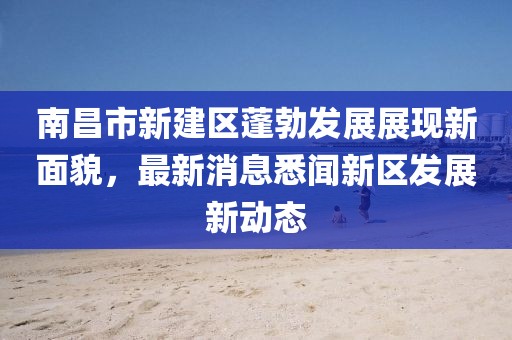 南昌市新建區(qū)蓬勃發(fā)展展現(xiàn)新面貌，最新消息悉聞新區(qū)發(fā)展新動(dòng)態(tài)