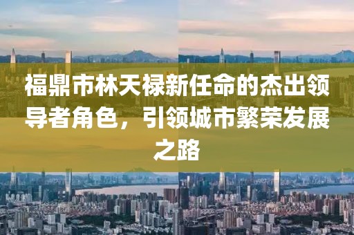 福鼎市林天祿新任命的杰出領導者角色，引領城市繁榮發(fā)展之路
