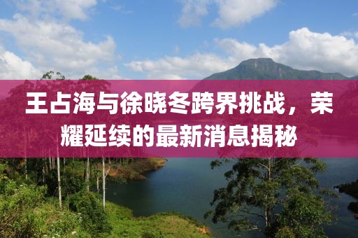 王占海與徐曉冬跨界挑戰(zhàn)，榮耀延續(xù)的最新消息揭秘