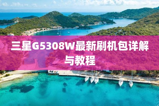 三星G5308W最新刷機(jī)包詳解與教程