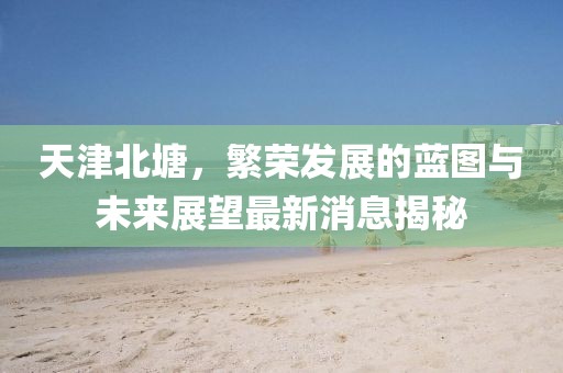 天津北塘，繁榮發(fā)展的藍圖與未來展望最新消息揭秘