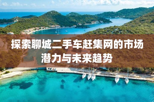 探索聊城二手車趕集網(wǎng)的市場潛力與未來趨勢