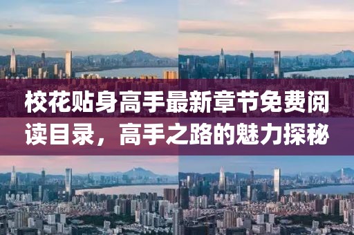 校花貼身高手最新章節(jié)免費閱讀目錄，高手之路的魅力探秘