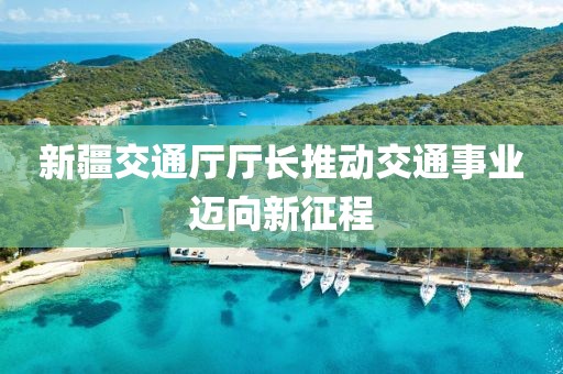 新疆交通廳廳長(zhǎng)推動(dòng)交通事業(yè)邁向新征程