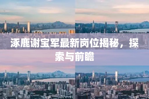 涿鹿謝寶軍最新崗位揭秘，探索與前瞻