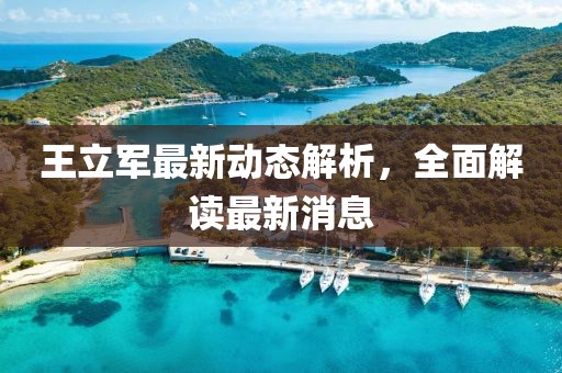 王立軍最新動(dòng)態(tài)解析，全面解讀最新消息