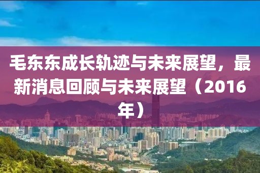 毛東東成長軌跡與未來展望，最新消息回顧與未來展望（2016年）