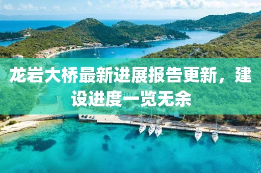 龍巖大橋最新進(jìn)展報(bào)告更新，建設(shè)進(jìn)度一覽無余