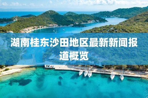 湖南桂東沙田地區(qū)最新新聞報(bào)道概覽