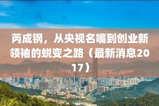 芮成鋼，從央視名嘴到創(chuàng)業(yè)新領(lǐng)袖的蛻變之路（最新消息2017）