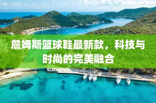 詹姆斯籃球鞋最新款，科技與時尚的完美融合