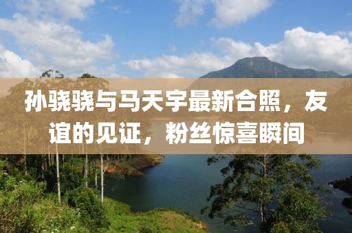 孫驍驍與馬天宇最新合照，友誼的見證，粉絲驚喜瞬間