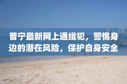 普寧最新網(wǎng)上通緝犯，警惕身邊的潛在風(fēng)險，保護(hù)自身安全