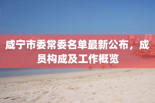 咸寧市委常委名單最新公布，成員構(gòu)成及工作概覽