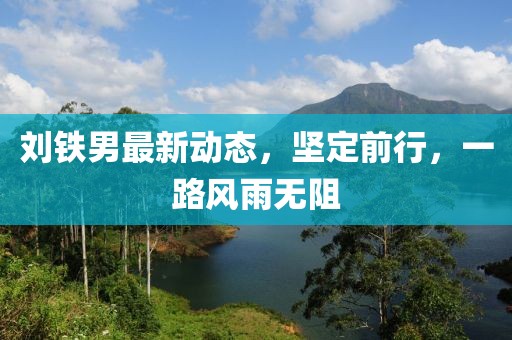 劉鐵男最新動態(tài)，堅定前行，一路風雨無阻