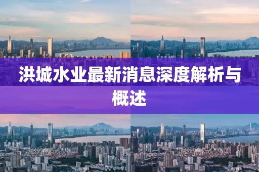 洪城水業(yè)最新消息深度解析與概述