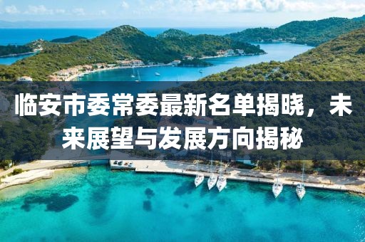 臨安市委常委最新名單揭曉，未來展望與發(fā)展方向揭秘