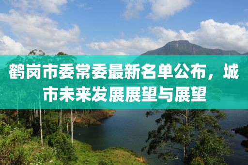 鶴崗市委常委最新名單公布，城市未來發(fā)展展望與展望