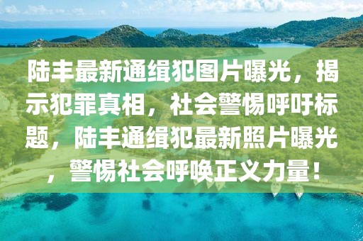 陸豐最新通緝犯圖片曝光，揭示犯罪真相，社會警惕呼吁標(biāo)題，陸豐通緝犯最新照片曝光，警惕社會呼喚正義力量！