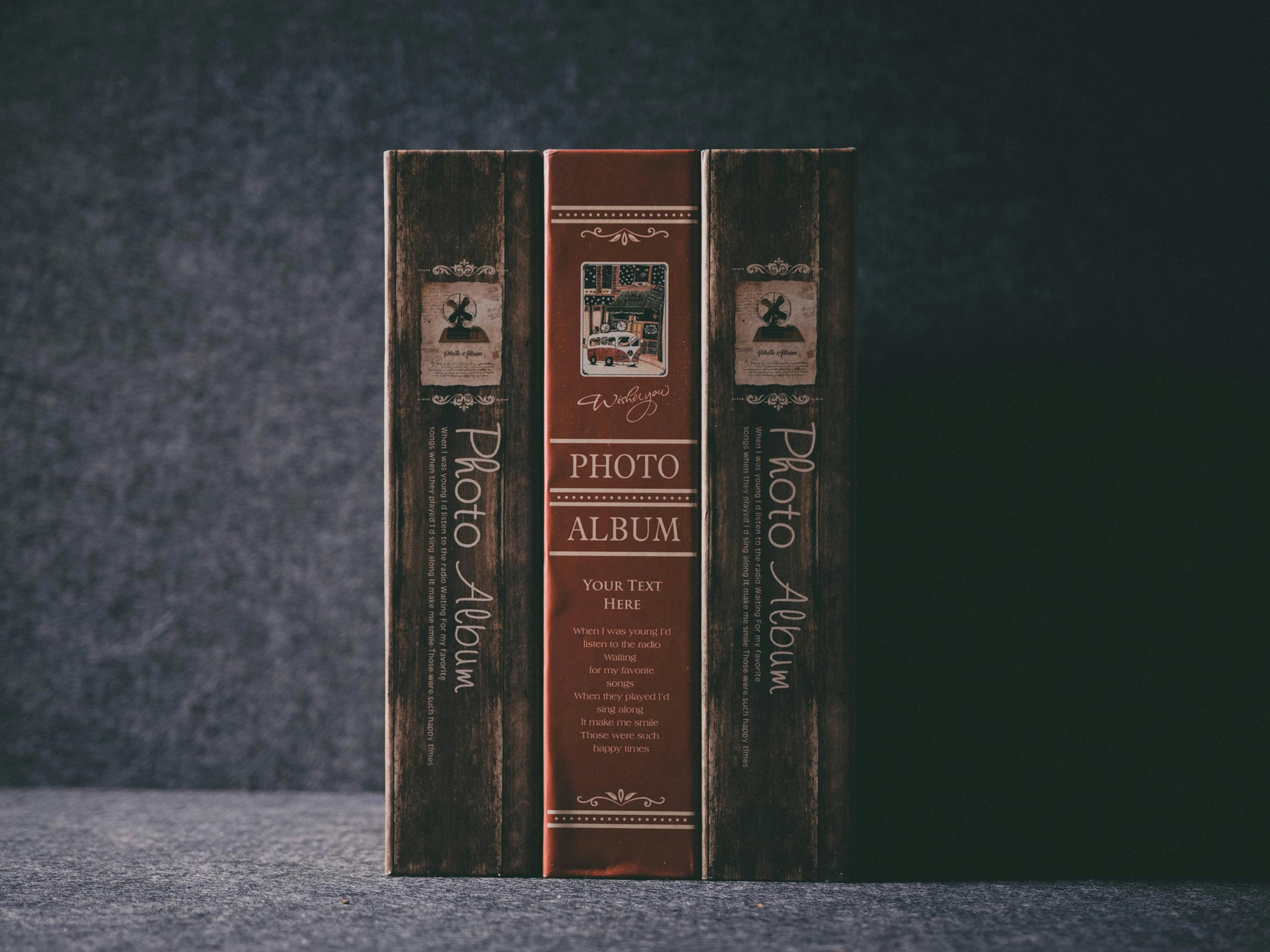 儀隴新聞網(wǎng)最新爆料解析，地區(qū)新動態(tài)與熱點話題深度探討