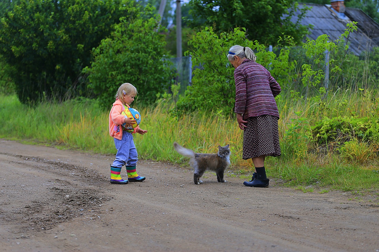 最新農(nóng)村愛情電視劇，鄉(xiāng)村生活的浪漫與真實之旅