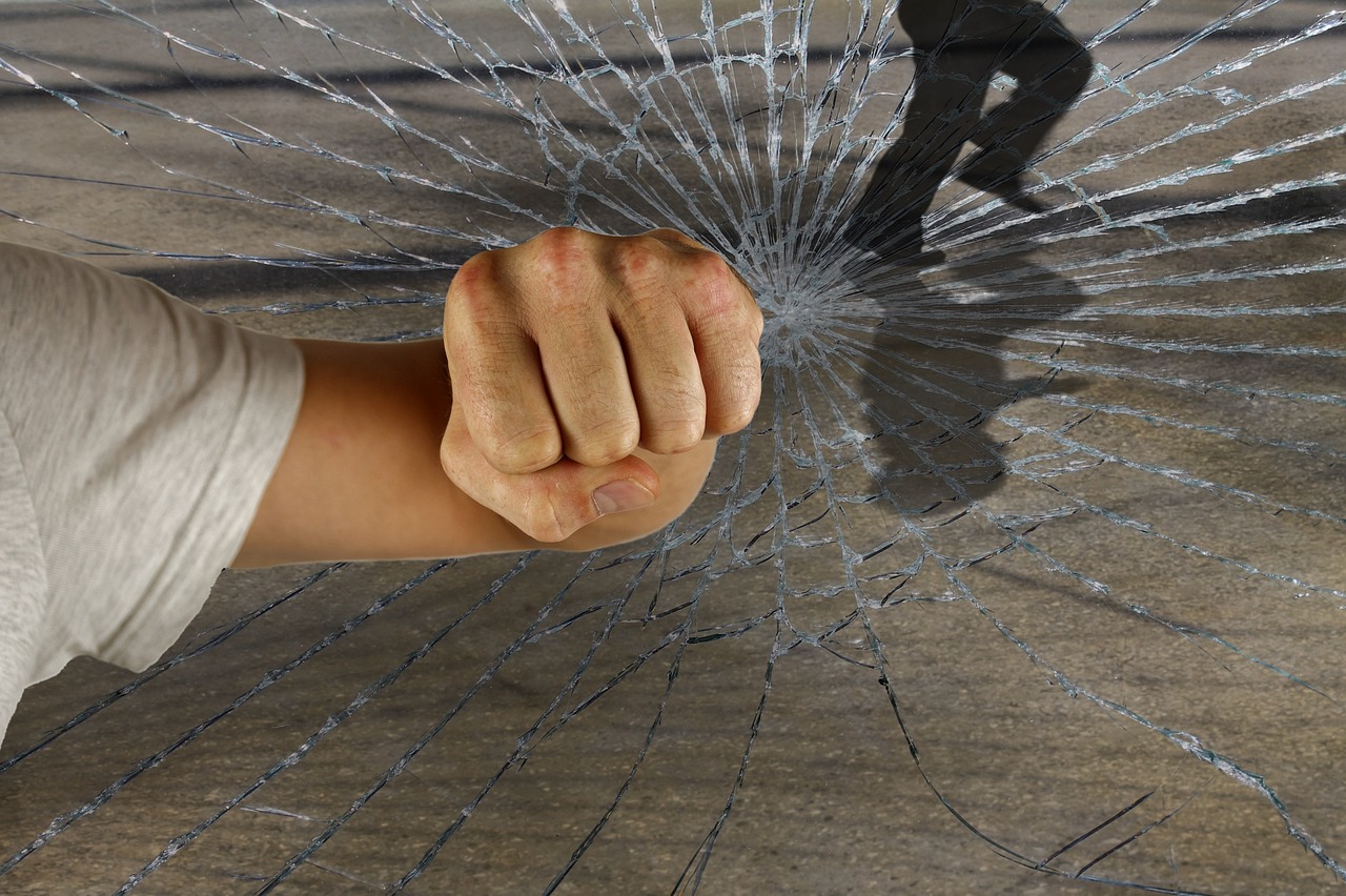 龍的世界最新破解版，警示違法犯罪的虛擬世界風(fēng)險揭秘