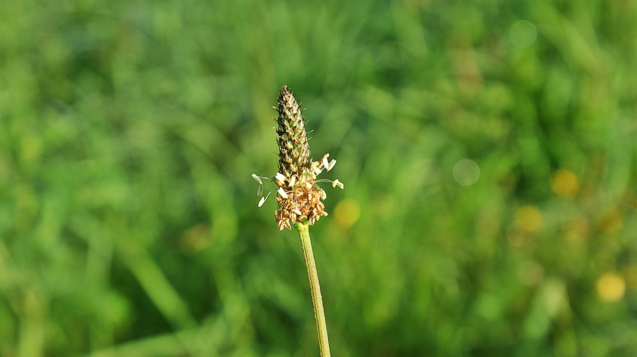 泰安南湖麗景最新動(dòng)態(tài)揭秘，城市新篇章的璀璨綻放
