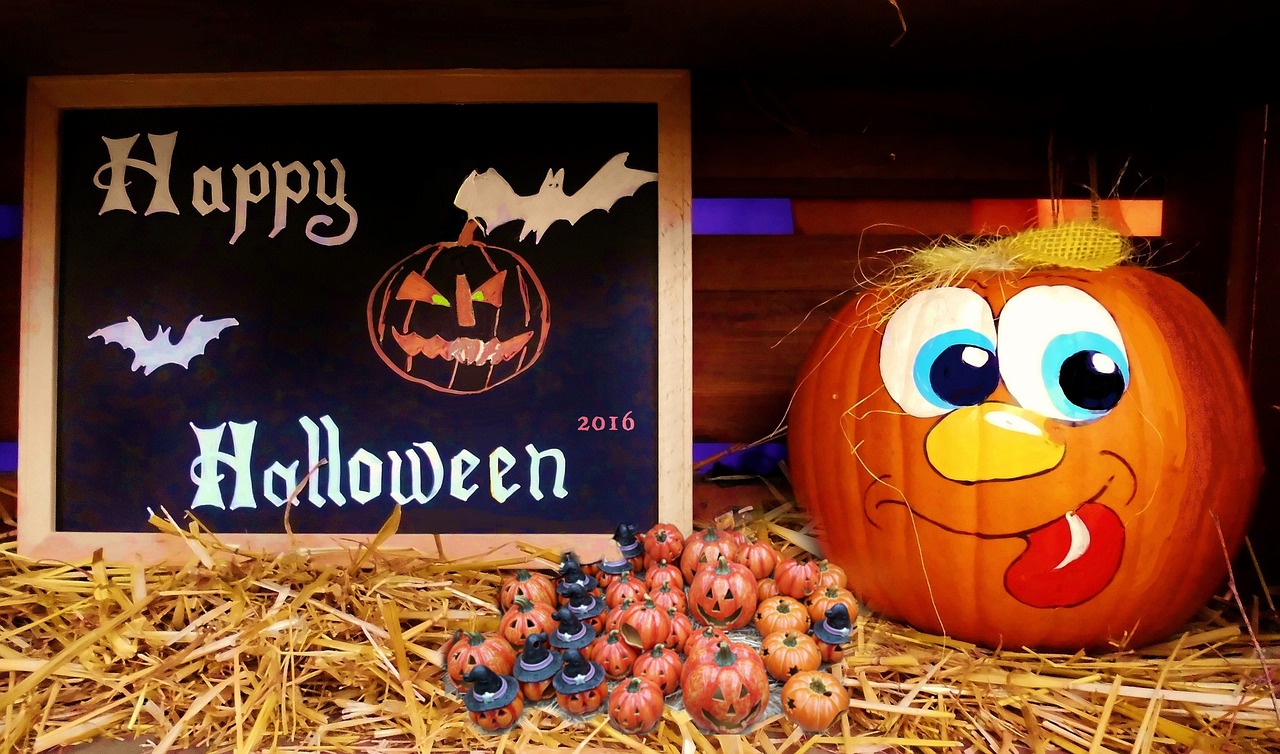 凱里張淼最新動(dòng)態(tài)揭秘，探尋神秘面紗下的最新消息