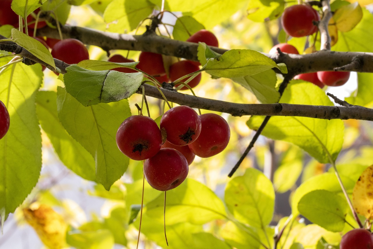水冶新聞最新動態(tài)報(bào)道速遞