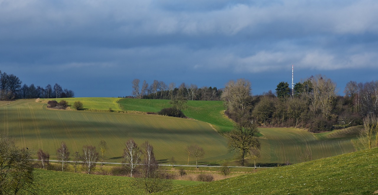 上海土地拍賣最新動(dòng)態(tài)，市場走勢、政策影響與未來展望