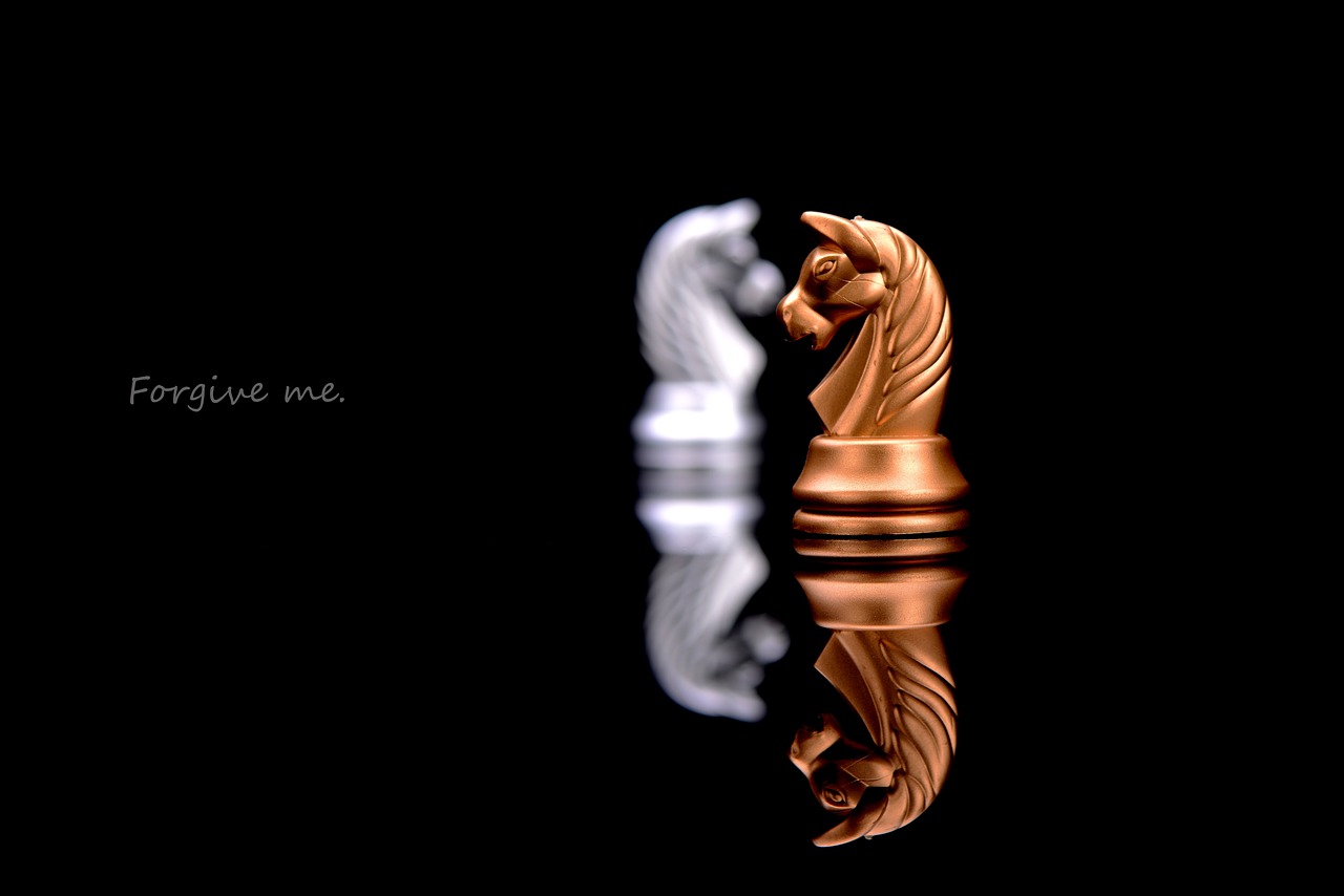 舟山沉船事件最新動(dòng)態(tài)，全面解析事件進(jìn)展與后續(xù)關(guān)注