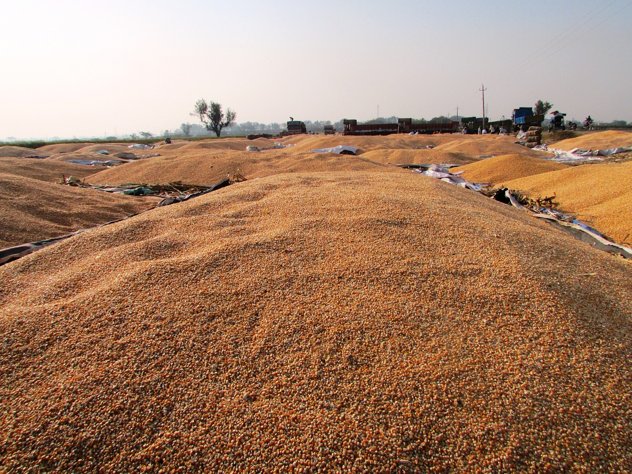 武漢公車拍賣最新動態(tài)，公開透明拍賣引領(lǐng)市場新風(fēng)向