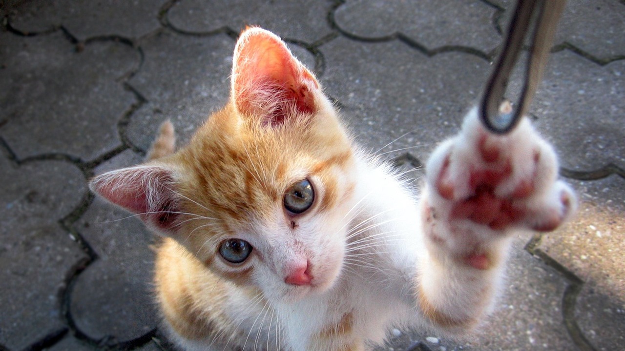 山大搬遷最新動(dòng)態(tài)，邁向新征程，開啟新篇章