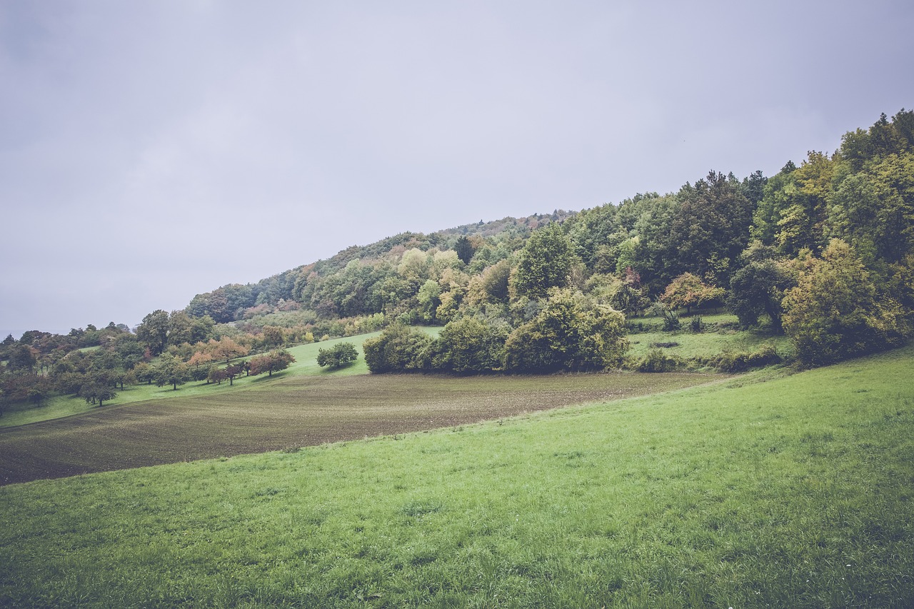 臺(tái)灣王金平最新動(dòng)態(tài)，政治舞臺(tái)的新動(dòng)向與社會(huì)關(guān)注焦點(diǎn)