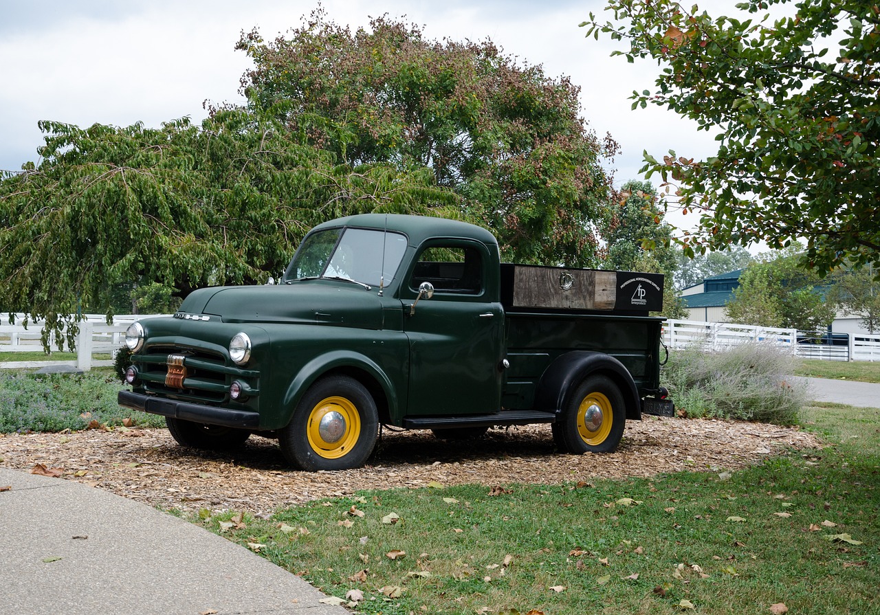 湖北皮卡解禁最新動(dòng)態(tài)，推動(dòng)皮卡文化繁榮與發(fā)展